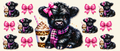 Black Highland cow with coffee and pink bows tumbler wrap