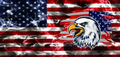 Smoky American flag and bald eagle tumbler wrap